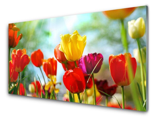 Nástenný panel  Kvet 125x50 cm