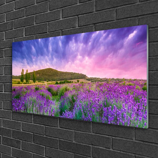 Obraz na skle Lúka kvety hory príroda 100x50 cm 2 Prívesky