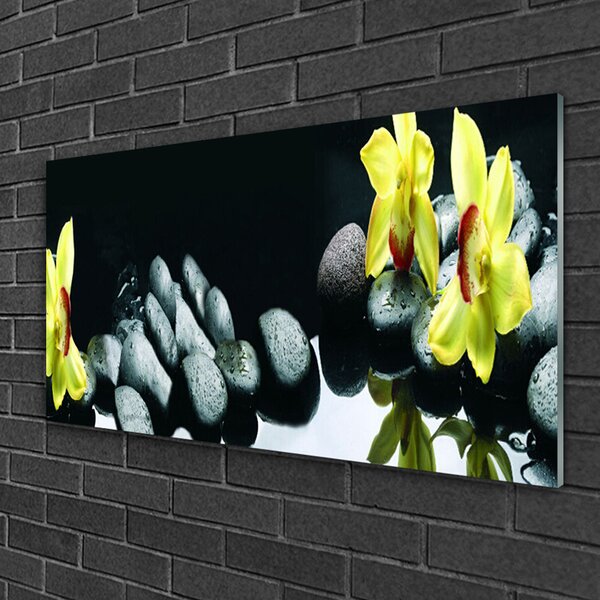 Obraz na skle Kvet kamene 100x50 cm 2 Prívesky