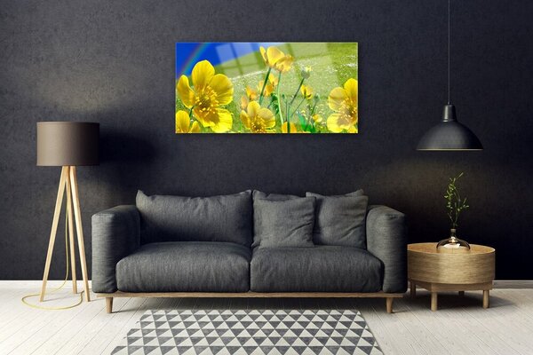 Obraz na skle Lúka kvety dúha príroda 100x50 cm 2 Prívesky