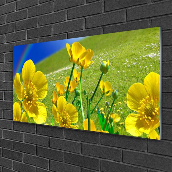 Obraz na skle Lúka kvety dúha príroda 100x50 cm 2 Prívesky
