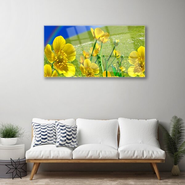 Obraz na skle Lúka kvety dúha príroda 100x50 cm 2 Prívesky