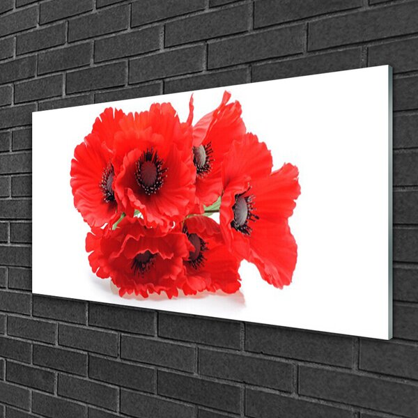 Obraz na skle Kvety 100x50 cm 2 Prívesky