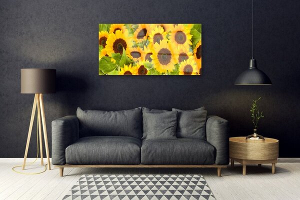 Obraz na skle Slnečnica 100x50 cm 2 Prívesky