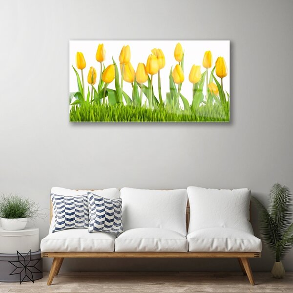 Obraz na skle Tulipány 100x50 cm 2 Prívesky