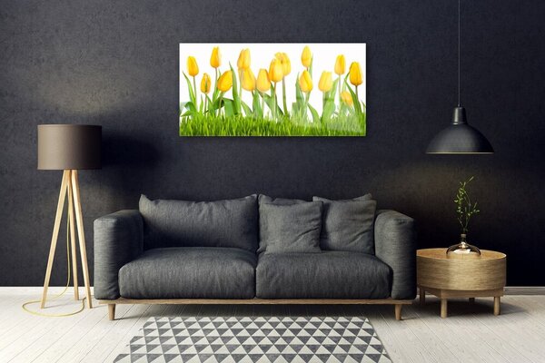 Obraz na skle Tulipány 100x50 cm 2 Prívesky