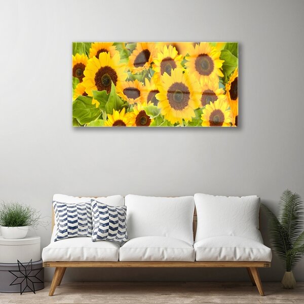 Obraz na skle Slnečnica 100x50 cm 2 Prívesky