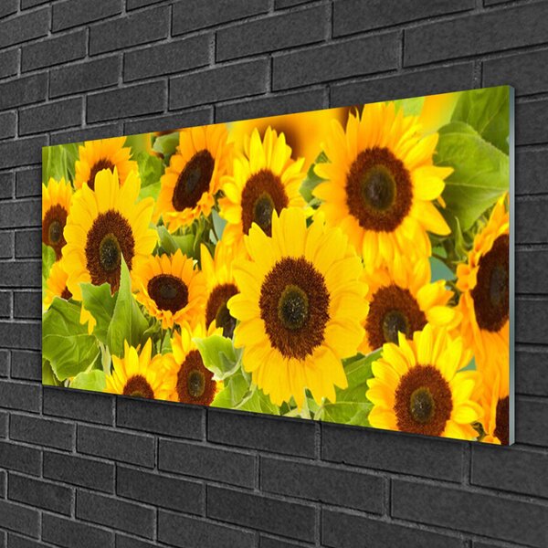 Obraz na skle Slnečnica 100x50 cm 2 Prívesky