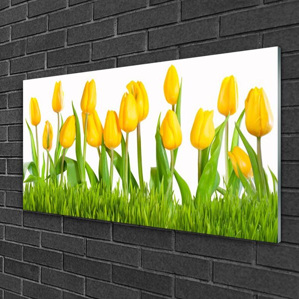 Obraz na skle Tulipány 100x50 cm 2 Prívesky