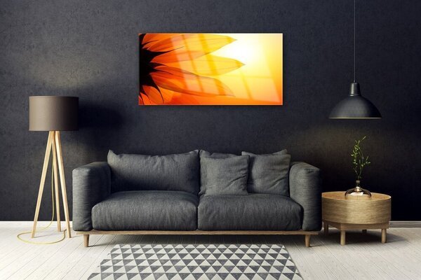 Obraz na skle Kvet rastlina príroda 100x50 cm 2 Prívesky