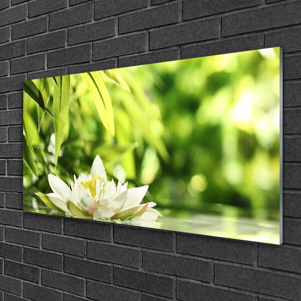 Obraz na skle Kvet listy 100x50 cm 2 Prívesky