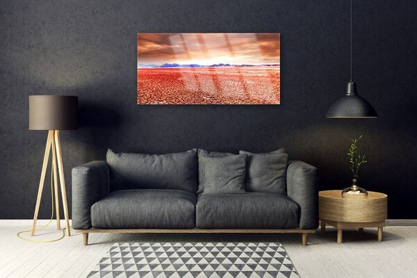 Obraz na skle Púšť krajina 100x50 cm 2 Prívesky