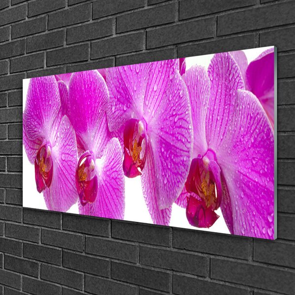 Obraz na skle Kvety rastlina príroda 100x50 cm 2 Prívesky