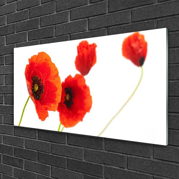 Obraz na skle Kvety rastlina 100x50 cm 2 Prívesky