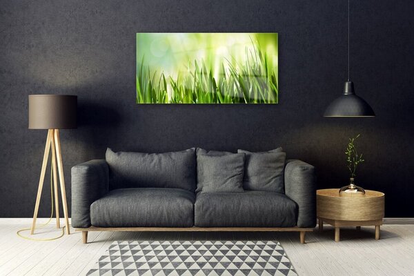 Obraz na skle Tráva príroda 100x50 cm 2 Prívesky