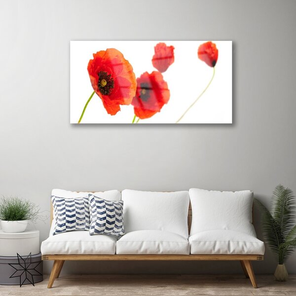 Obraz na skle Kvety rastlina 100x50 cm 2 Prívesky