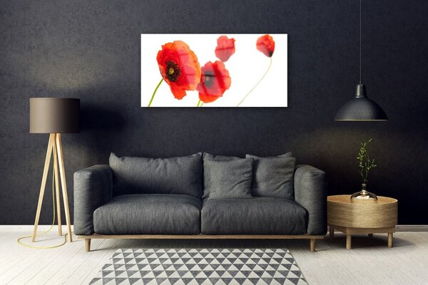 Obraz na skle Kvety rastlina 100x50 cm 2 Prívesky