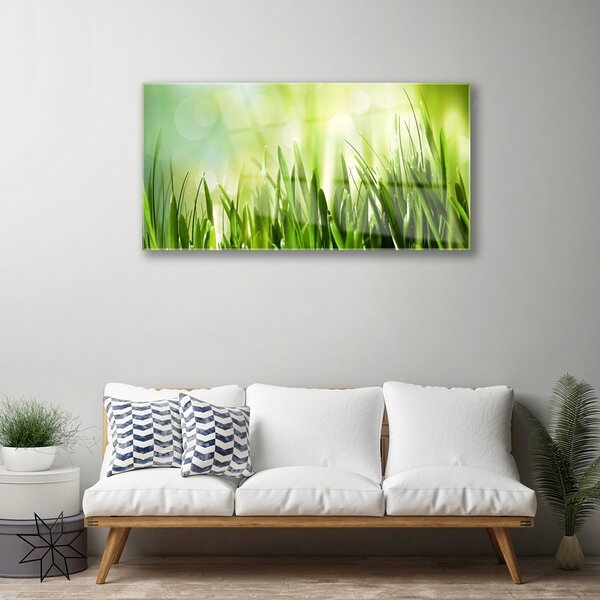 Obraz na skle Tráva príroda 100x50 cm 2 Prívesky