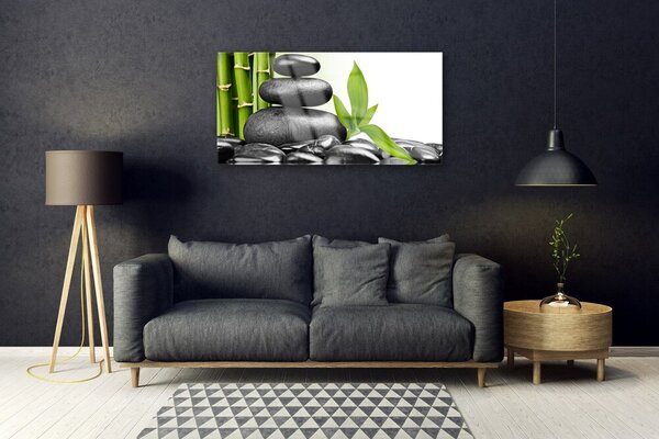 Obraz na skle Kamene listy umenie 100x50 cm 2 Prívesky