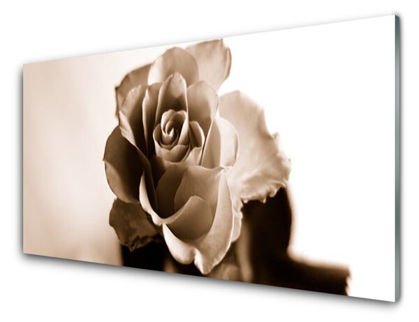 Obraz na skle Ruže kvet 140x70 cm 4 Prívesky