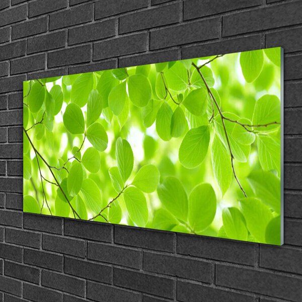 Obraz na skle Listy príroda 100x50 cm 2 Prívesky