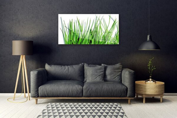 Obraz na skle Tráva 100x50 cm 2 Prívesky