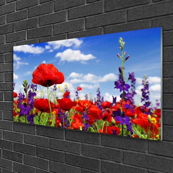 Obraz na skle Kvety 100x50 cm 2 Prívesky