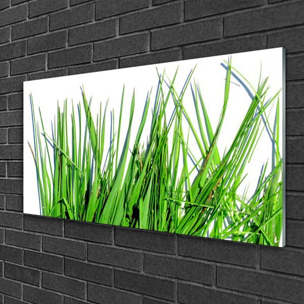 Obraz na skle Tráva 100x50 cm 2 Prívesky