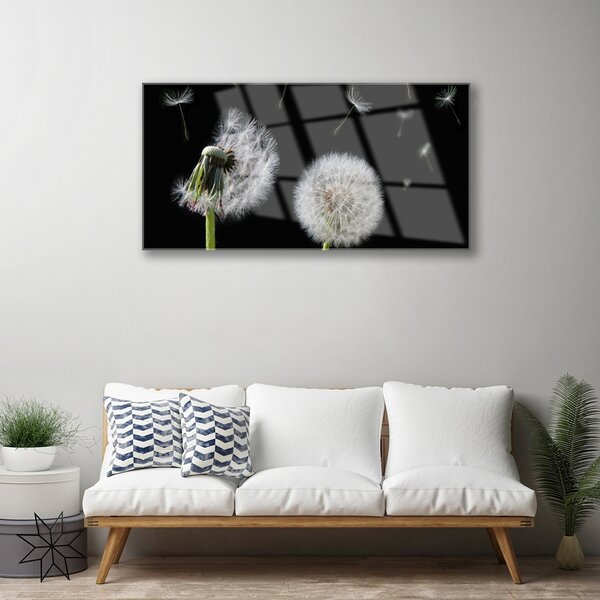 Obraz na skle Púpava 100x50 cm 2 Prívesky