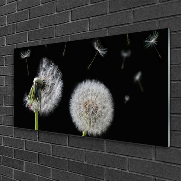 Obraz na skle Púpava 100x50 cm 2 Prívesky