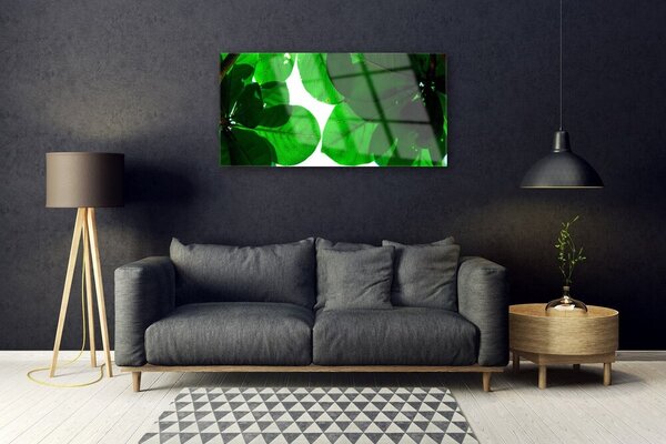 Obraz na skle Listy 100x50 cm 2 Prívesky