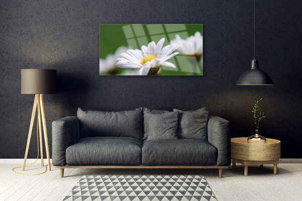 Obraz na skle Sedmokráska 100x50 cm 2 Prívesky