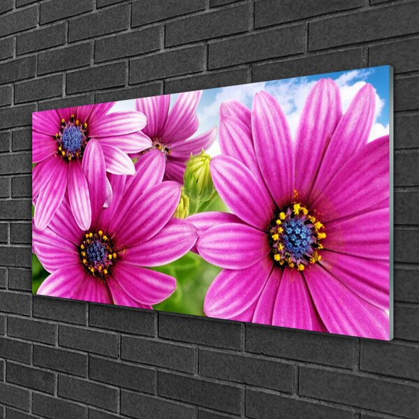 Obraz na skle Kvety 100x50 cm 2 Prívesky