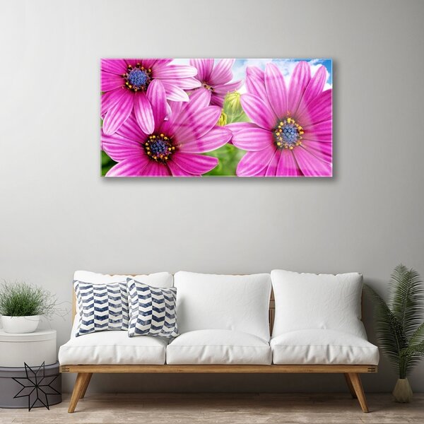 Obraz na skle Kvety 100x50 cm 2 Prívesky