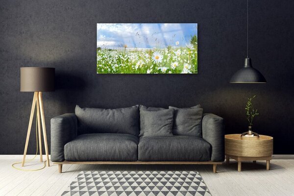 Obraz na skle Lúka sedmokrásky príroda 100x50 cm 2 Prívesky