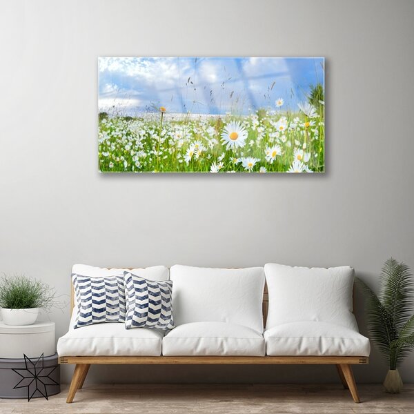 Obraz na skle Lúka sedmokrásky príroda 100x50 cm 2 Prívesky