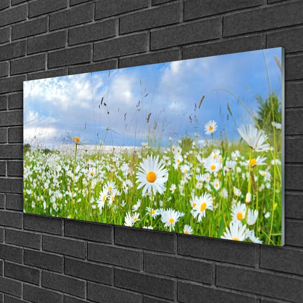 Obraz na skle Lúka sedmokrásky príroda 100x50 cm 2 Prívesky