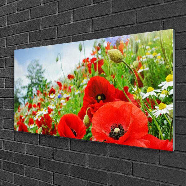 Obraz na skle Kvety príroda 100x50 cm 2 Prívesky