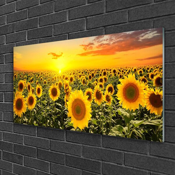 Obraz na skle Slnečnica 100x50 cm 2 Prívesky
