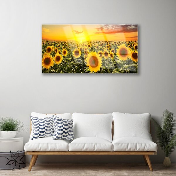 Obraz na skle Slnečnica 100x50 cm 2 Prívesky