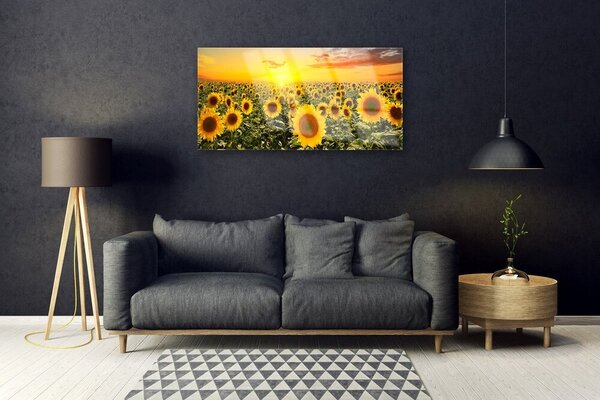 Obraz na skle Slnečnica 100x50 cm 2 Prívesky