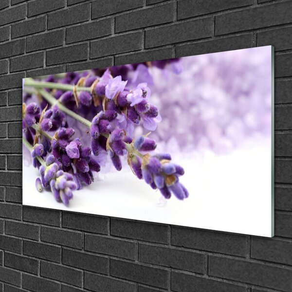 Obraz na skle Kvety 100x50 cm 2 Prívesky