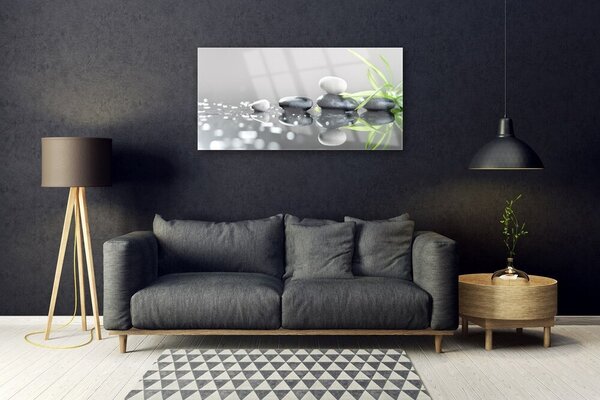 Obraz na skle Kamene tráva umenie 100x50 cm 2 Prívesky