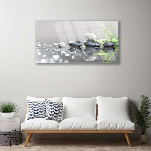 Obraz na skle Kamene tráva umenie 100x50 cm 2 Prívesky