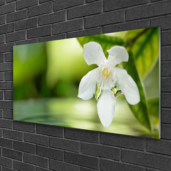 Obraz na skle Kvet listy 100x50 cm 2 Prívesky