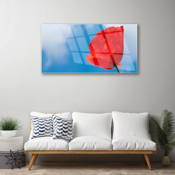 Obraz na skle Tulipán 100x50 cm 2 Prívesky