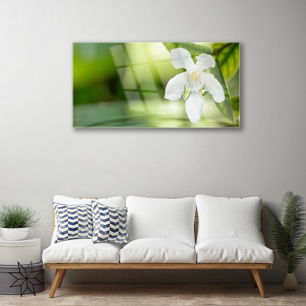 Obraz na skle Kvet listy 100x50 cm 2 Prívesky