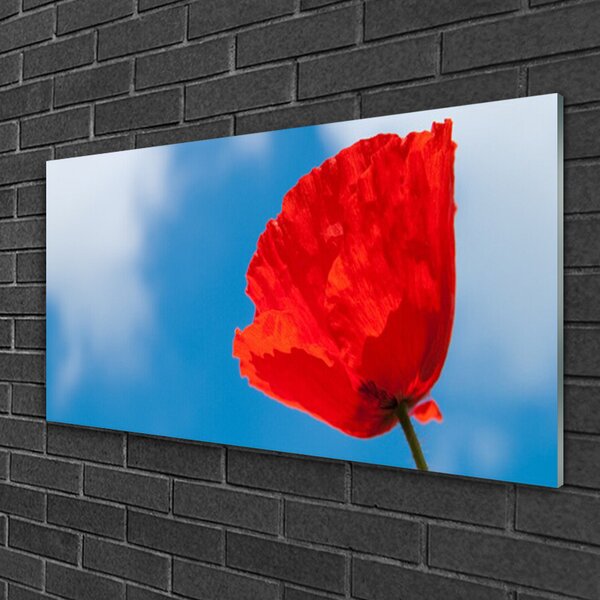 Obraz na skle Tulipán 100x50 cm 2 Prívesky