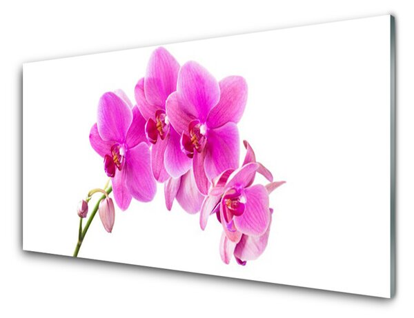 Skleneny obraz Vstavač kvet orchidea 125x50 cm