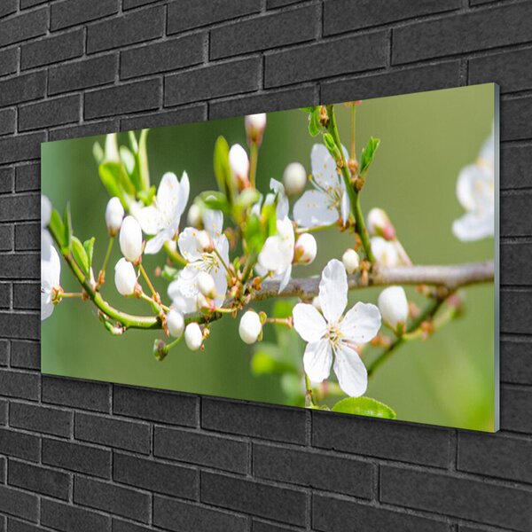 Skleneny obraz Kvety vetvy listy sad 100x50 cm 2 Prívesky
